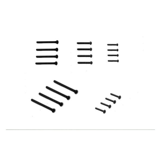 SET TORNILLOS (RAIDER)