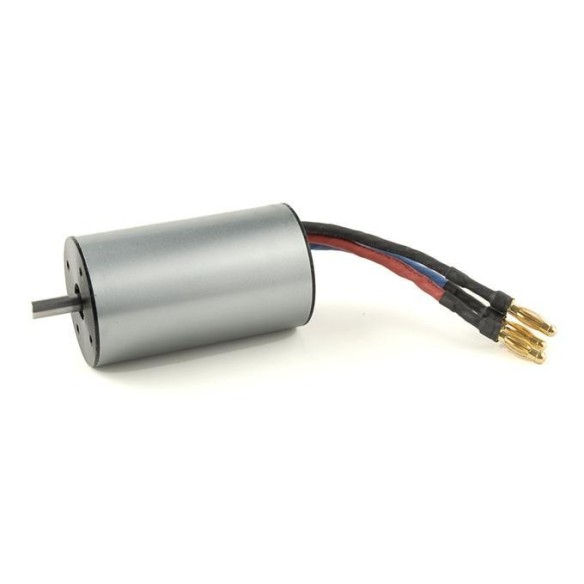 BRUSHLESS MOTOR (XB8 BRUSHLESS)