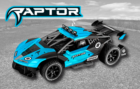 Banner Raptor